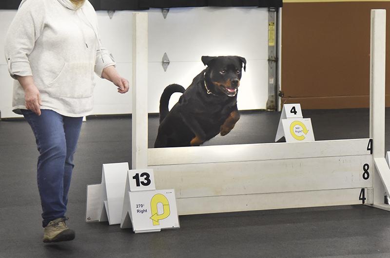 Cape Breton Kennel Club Dog Show Cape Breton Kennel Club Dog Show