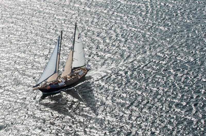 Amoeba Sailing Tours – Come Sail With Us Amoeba Sailing Tours – Come Sail With Us