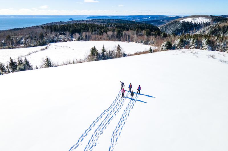 Fundy -  Finland