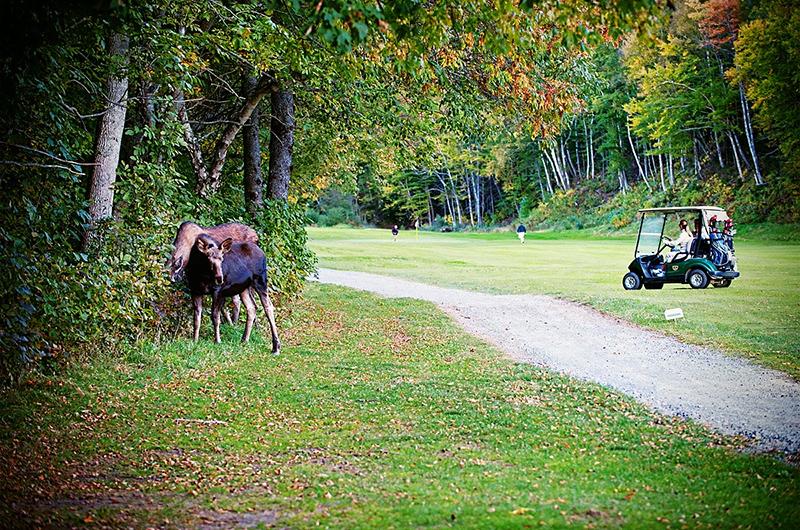 Stay and Play package at Castle Rock Country Inn Stay and Play package at Castle Rock Country Inn