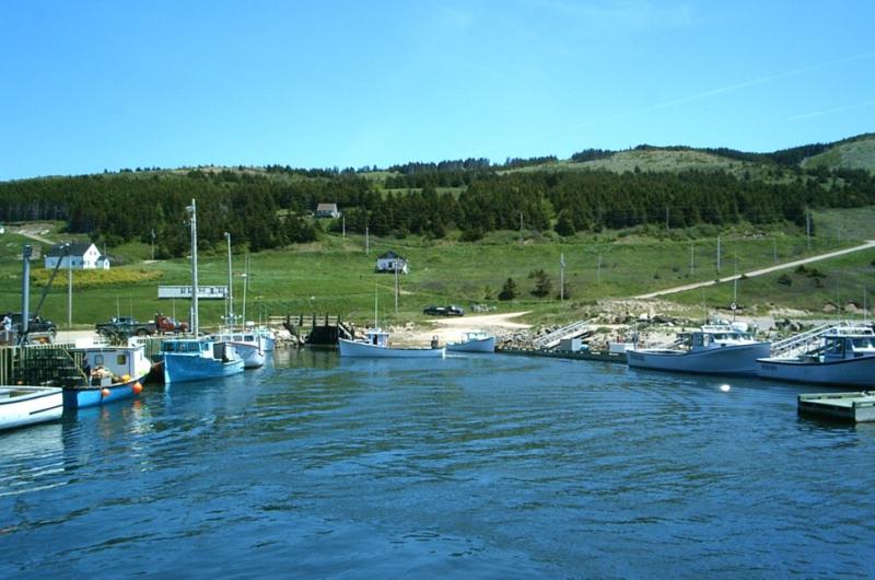 Ceilidh on the Wharf